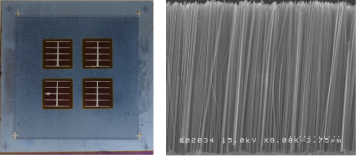 Solar Cells Utilizing Silicon Nanowires(Prof. Shinya Kato)