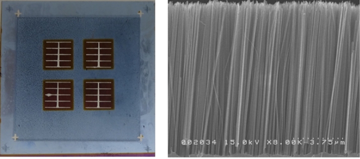 シリコンナノワイヤーを用いた太陽電池（加藤慎也先生）